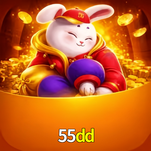 55dd.com